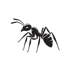 Black Ant Icon Silhouettes. Vector Illustration Design.