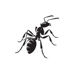 Black Ant Icon. Vector Silhouette Illustration on White.
