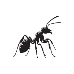 Black Ant Icon. Vector Silhouette Illustration on White.