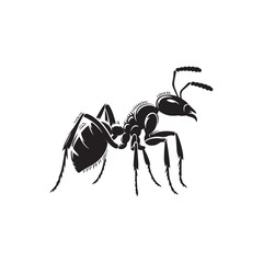 Black Ant Icon. Vector Silhouette Illustration on White.