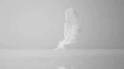 Floating Feather in Minimalist Air Movement,Soft and Elegant Nature Texture