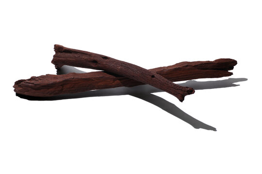 Drift Wood