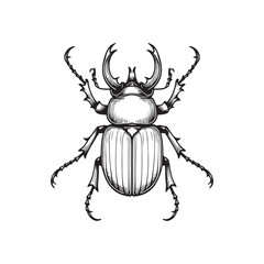 Illustration of a Beetle Black Vector Design.