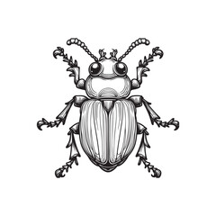 Black and White Beetle Vector Isolated Graphic Design.