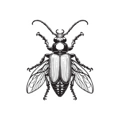 Beetle Vector Drawing  Black Shape.