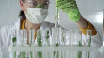 Female scientist wearing a lab coat, green gloves and mask looking to the test tube with plants inside, close up. Science and medicine