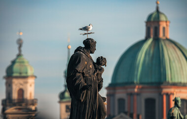 A statue overlooking the Charles Bridge in Prague, adorned by a seagull on a sunny afternoon