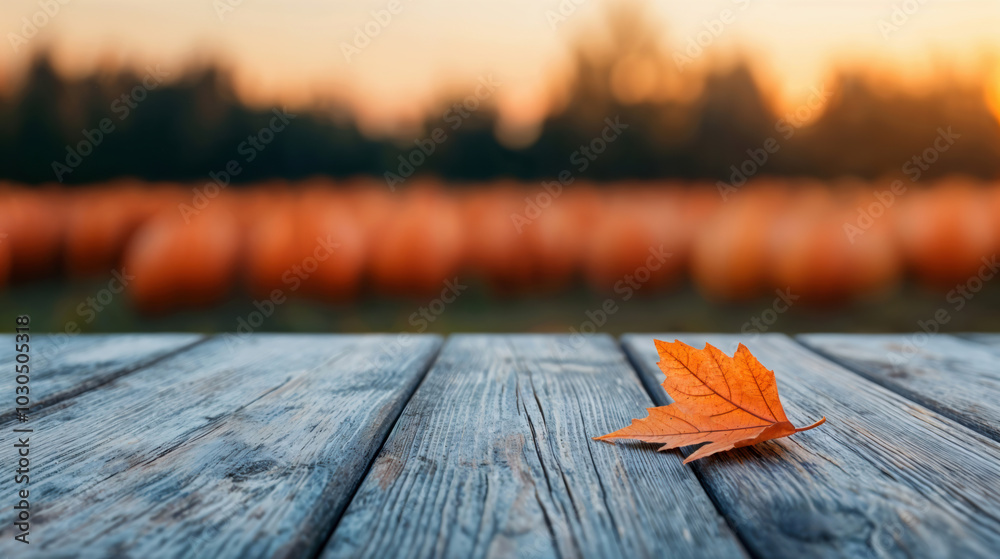 Poster Autumn leaf resting on a rustic wooden table with pumpkins in a field in the background at sunset