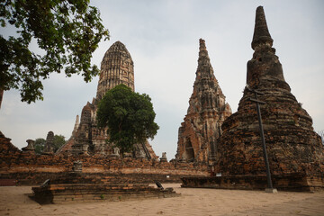 Naklejka premium Wat Phra Sri Sanphet ayutthaya a large group of buildings with a tree in the middle. The buildings are old and have a lot of history