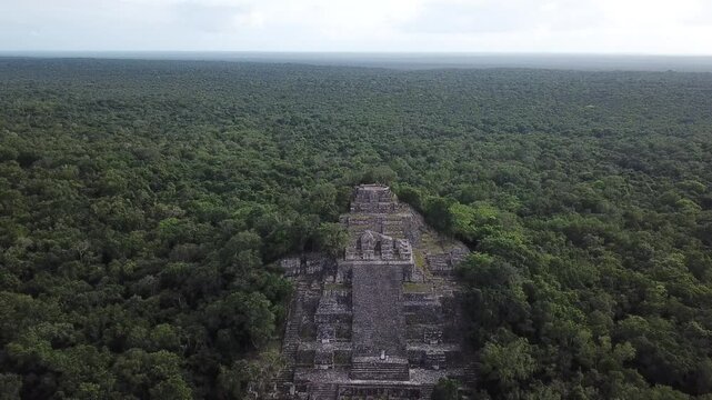 Aerial view, drone flying over the Calakmul pyramid in the Campeche jungle, Mexico