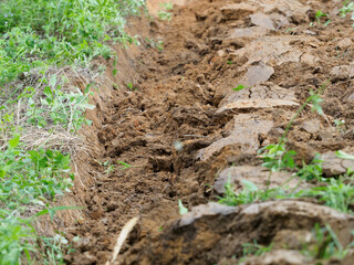 Plow marks from a tractor
