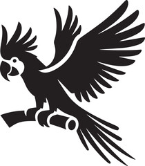 black and white parrot © MDAbdul