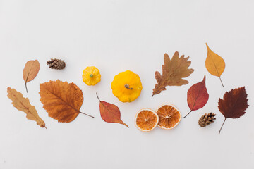 Autumn holiday frame composition with pattern made of leaf, punpkins, dried orange, pine cone on...