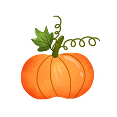 Pumpkin autumn watercolor clipartd drawing 