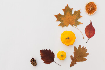 Autumn holiday frame composition with pattern made of leaf, punpkins, dried orange, pine cone on...