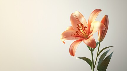Naklejka premium A delicate peach lily blooms gracefully against a soft, light background, showcasing its vibrant petals and lush green leaves.