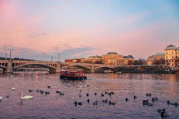 Serene sunset on the Vltava River in Prague with swans and ducks swimming beneath the historic...