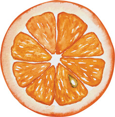 slice of orange drawing by watercolor, hand drawn watercolor illustration isolated on white