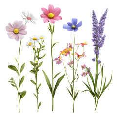 Colorful Flowers and Stripes Abstract Art