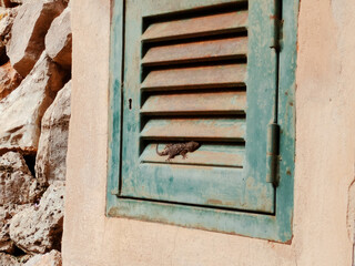 Mallorca, Spain. Rustic Window with Gecko on Weathered Shutters