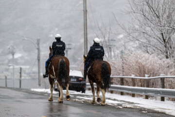 Two police officers of the mounted unit rode large horses on a street in winter. The cops are...