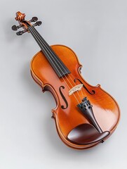 Fototapeta premium Violin with Shiny Varnish and Golden Bridge