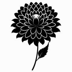 black and white dahlia silhouette vector with white background