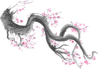 Realistic watercolor sakura blossom - Japanese cherry tree. Artistic branch sakura blossom. 