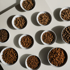 Photography of  Dry Pet Food Set bowl Cat Diet Puppy Food Brown Pieces Dog Meal with the word petrified on it