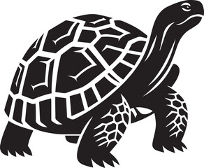 vector illustration tortoise silhouette