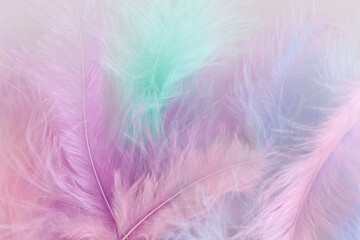 Obraz premium Background of delicate pastel feathers