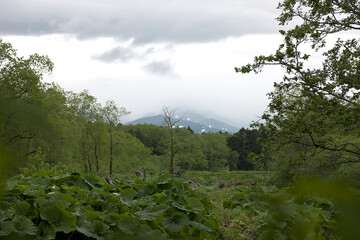 Obraz premium Russia Kuril Islands landscape on a cloudy summer day