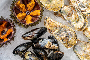 Sea urchin and oysters in shells close-up on ice.