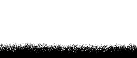 Grass black silhouette vector illustration on transparent background.