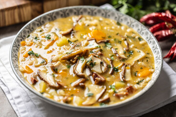 Homemade and tasty soup made from wild mushrooms, bacon, carrots and barley groats