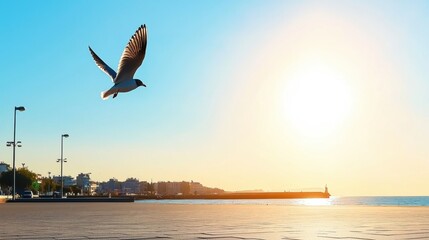 Seagull Flying Over Coastal Sunrise Scene