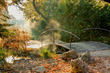Autumn in the park. Bridge in the park at sunrise. Margaret Island (Margit-sziget island)....