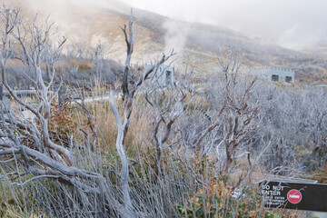 Owakudani seen from the ropeway in Hakone