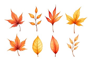 Naklejka premium Collection beautiful colorful autumn leaves isolated on white background. Autumn background. 
