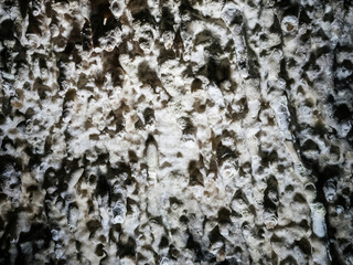 Obraz premium A detailed close-up image of a rough, textured rock surface showcasing natural formations and irregularities, highlighting geological patterns and the rugged beauty of stone