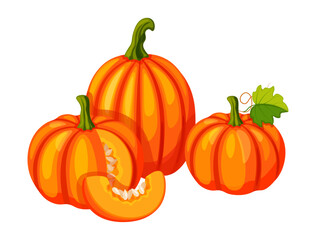 Group of autumn pumpkins in cartoon style. Vector illustration of yellow and orange whole pumpkin with seeds, pieces, in section, with tendrils, green leaves isolated on white background.