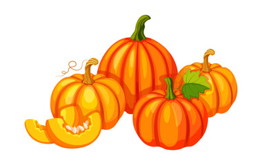 Composition of delicious pumpkins in cartoon style. Vector illustration of fresh yellow and orange whole pumpkin with seeds, pieces, tendrils, green leaves isolated on white background.Autumn harvest.