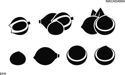 Macadamia nut set. Logo. Isolated macadamia nut on white background