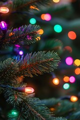 Obraz premium Colorful Christmas lights illuminate festive evergreen branches during the holiday season