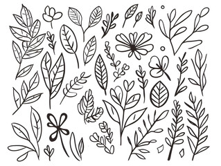 Collection of hand-drawn leaves and flowers in black and white on isolated background