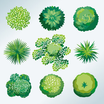 Ensemble de 9 Ic&ocirc;nes d'Arbres et d'Arbustes pour Plans de Jardins et Architecture Vus de dessus, Nature et V&eacute;g&eacute;tation Couleur Vert Vecteur