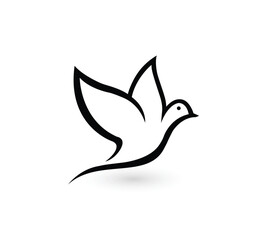 Flying  bird logo vector template