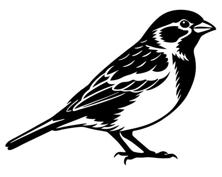 recommend clip art: set of sparrow bird silhouette vector