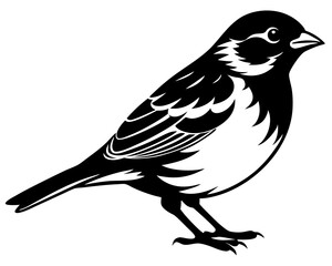 set of sparrow bird silhouette vector