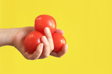 Red tomatoes in a female hand on a yellow background. Close-up of a hand with several tomatoes. Harvest. Healthy eating and diet concept. Vegetables. White female hand showing a fresh tomato